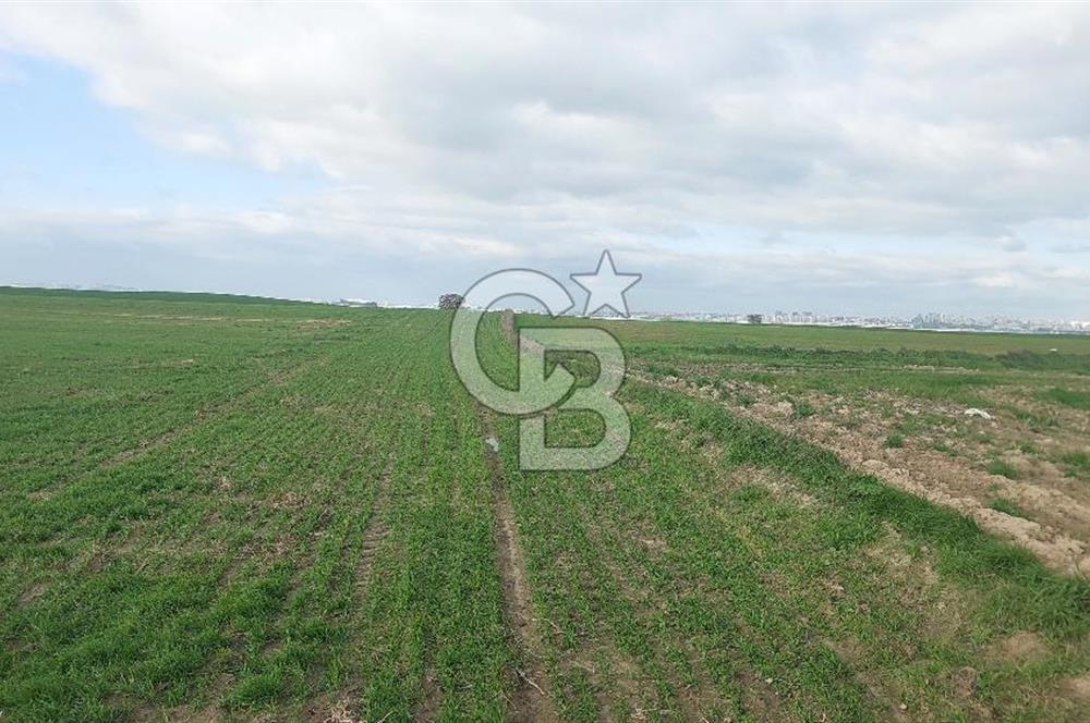 Tekirdağ Marmaraereğli Yakuplu Mahallesinde Satılık 22.920 M2 Tarla