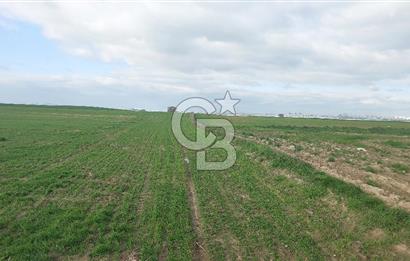 Tekirdağ Marmaraereğli Yakuplu Mahallesinde Satılık 22.920 M2 Tarla