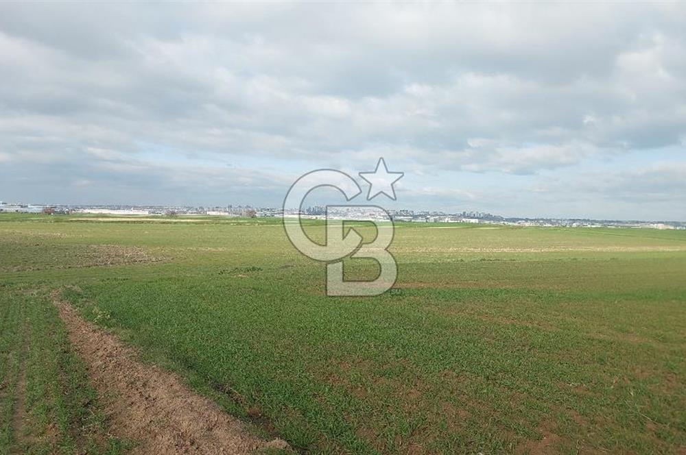 Tekirdağ Marmaraereğli Yakuplu Mahallesinde Satılık 22.920 M2 Tarla