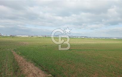 Tekirdağ Marmaraereğli Yakuplu Mahallesinde Satılık 22.920 M2 Tarla