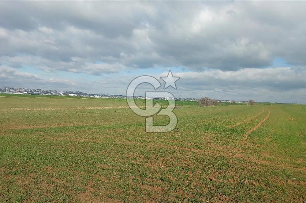 Tekirdağ Marmaraereğli Yakuplu Mahallesinde Satılık 22.920 M2 Tarla