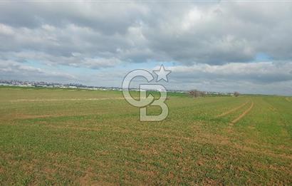 Tekirdağ Marmaraereğli Yakuplu Mahallesinde Satılık 22.920 M2 Tarla