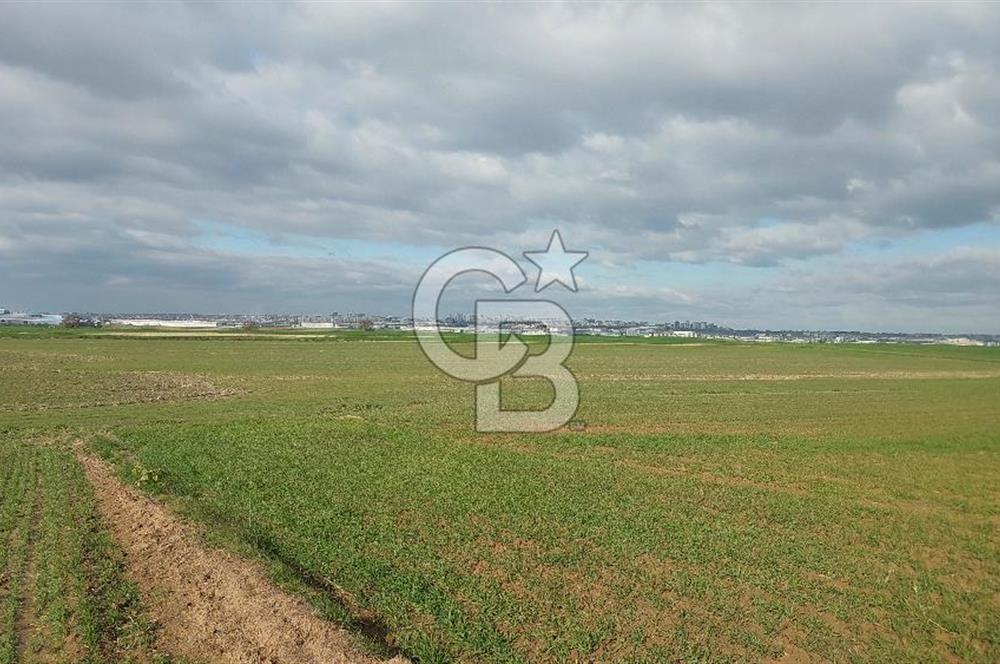Tekirdağ Marmaraereğli Yakuplu Mahallesinde Satılık 22.920 M2 Tarla