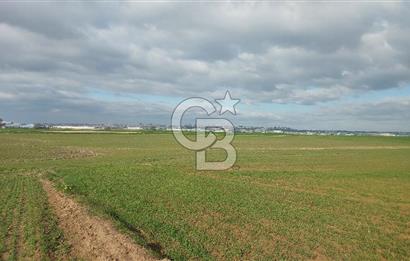 Tekirdağ Marmaraereğli Yakuplu Mahallesinde Satılık 22.920 M2 Tarla