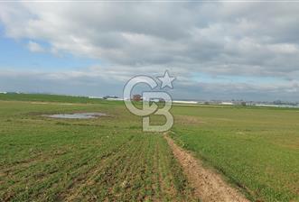 Tekirdağ Marmaraereğli Yakuplu Mahallesinde Satılık 22.920 M2 Tarla - 7 - 324129