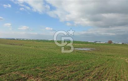 Tekirdağ Marmaraereğli Yakuplu Mahallesinde Satılık 22.920 M2 Tarla