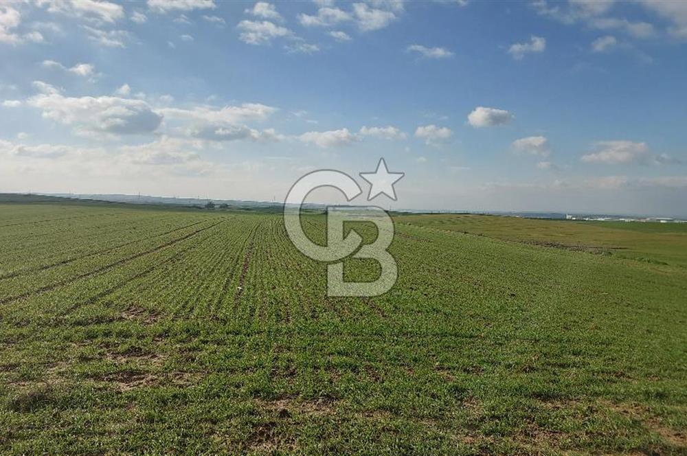 Tekirdağ Marmaraereğli Yakuplu Mahallesinde Satılık 22.920 M2 Tarla
