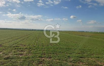 Tekirdağ Marmaraereğli Yakuplu Mahallesinde Satılık 22.920 M2 Tarla
