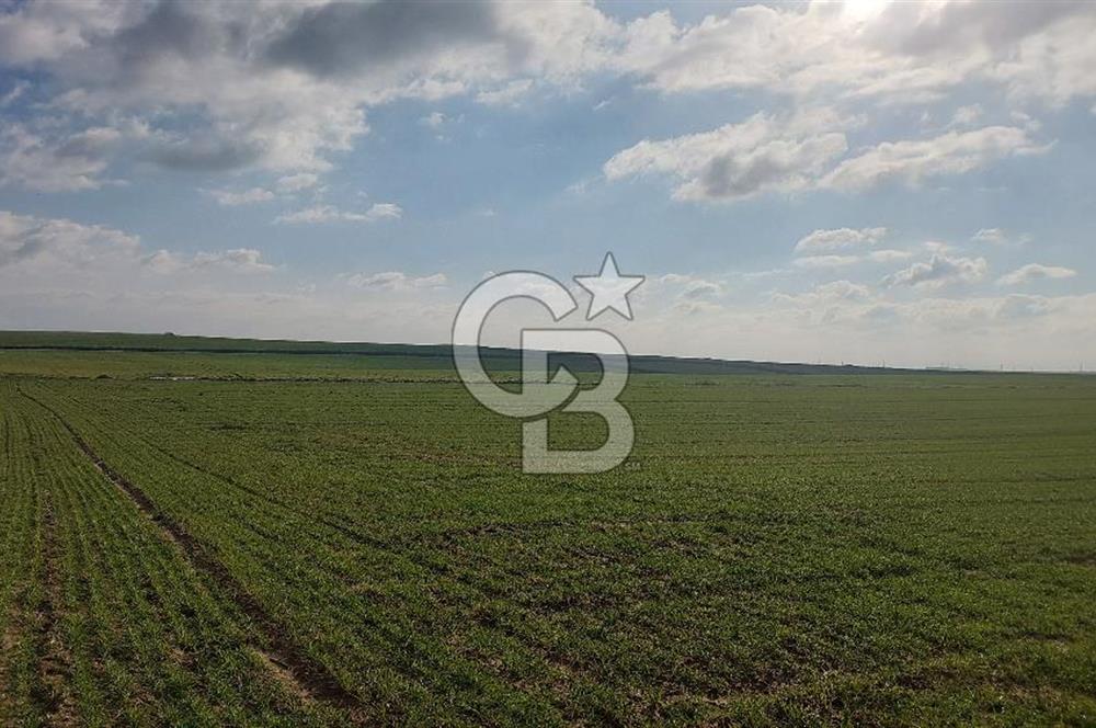 Tekirdağ Marmaraereğli Yakuplu Mahallesinde Satılık 22.920 M2 Tarla