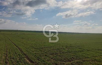 Tekirdağ Marmaraereğli Yakuplu Mahallesinde Satılık 22.920 M2 Tarla