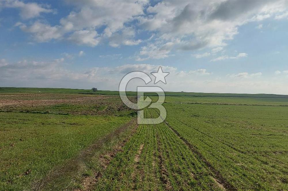Tekirdağ Marmaraereğli Yakuplu Mahallesinde Satılık 22.920 M2 Tarla