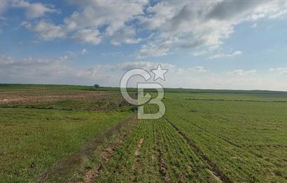 Tekirdağ Marmaraereğli Yakuplu Mahallesinde Satılık 22.920 M2 Tarla