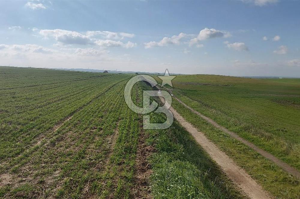 Tekirdağ Marmaraereğli Yakuplu Mahallesinde Satılık 22.920 M2 Tarla