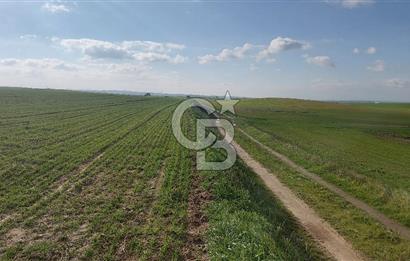 Tekirdağ Marmaraereğli Yakuplu Mahallesinde Satılık 22.920 M2 Tarla