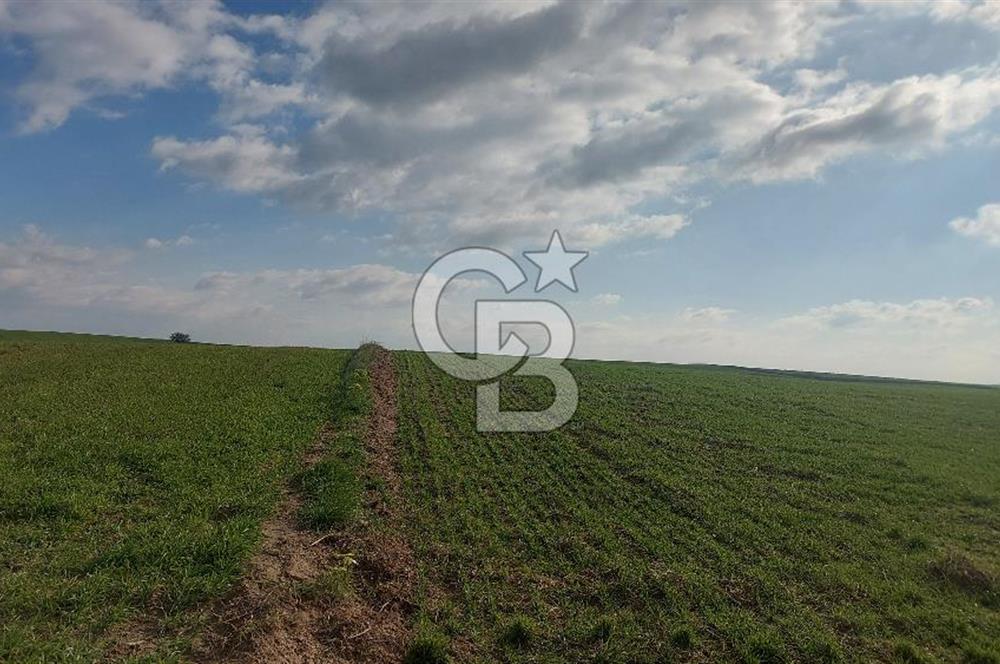 Tekirdağ Marmaraereğli Yakuplu Mahallesinde Satılık 22.920 M2 Tarla