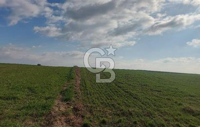Tekirdağ Marmaraereğli Yakuplu Mahallesinde Satılık 22.920 M2 Tarla