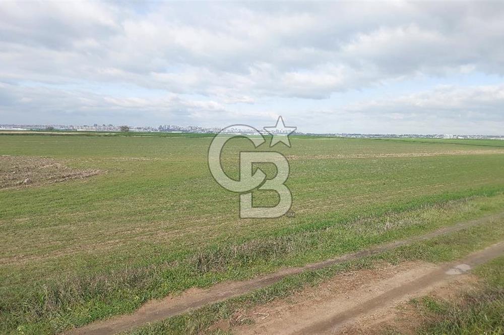 Tekirdağ Marmaraereğli Yakuplu Mahallesinde Satılık 22.920 M2 Tarla