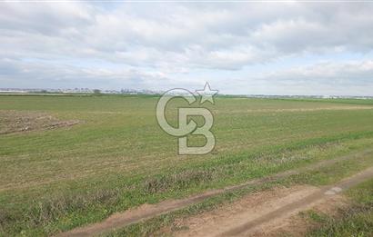 Tekirdağ Marmaraereğli Yakuplu Mahallesinde Satılık 22.920 M2 Tarla