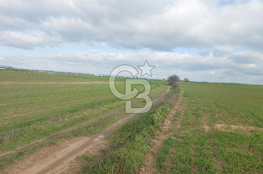 Tekirdağ Marmaraereğli Yakuplu Mahallesinde Satılık 22.920 M2 Tarla