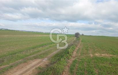 Tekirdağ Marmaraereğli Yakuplu Mahallesinde Satılık 22.920 M2 Tarla