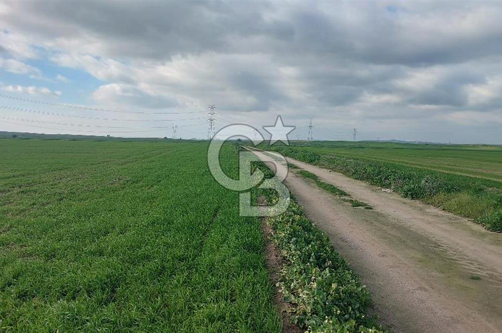 Tekirdağ Çorlu Şahpa'da 22.300 M2 467 M Resmi Yola Cepheli Satılık Tarla