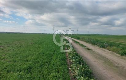 Tekirdağ Çorlu Şahpa'da 22.300 M2 467 M Resmi Yola Cepheli Satılık Tarla