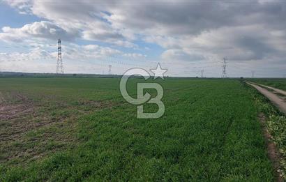 Tekirdağ Çorlu Şahpa'da 22.300 M2 467 M Resmi Yola Cepheli Satılık Tarla