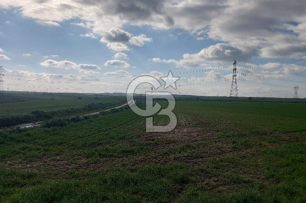 Tekirdağ Çorlu Şahpa'da 22.300 M2 467 M Resmi Yola Cepheli Satılık Tarla