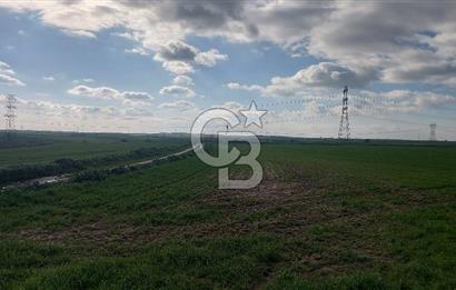 Tekirdağ Çorlu Şahpa'da 22.300 M2 467 M Resmi Yola Cepheli Satılık Tarla