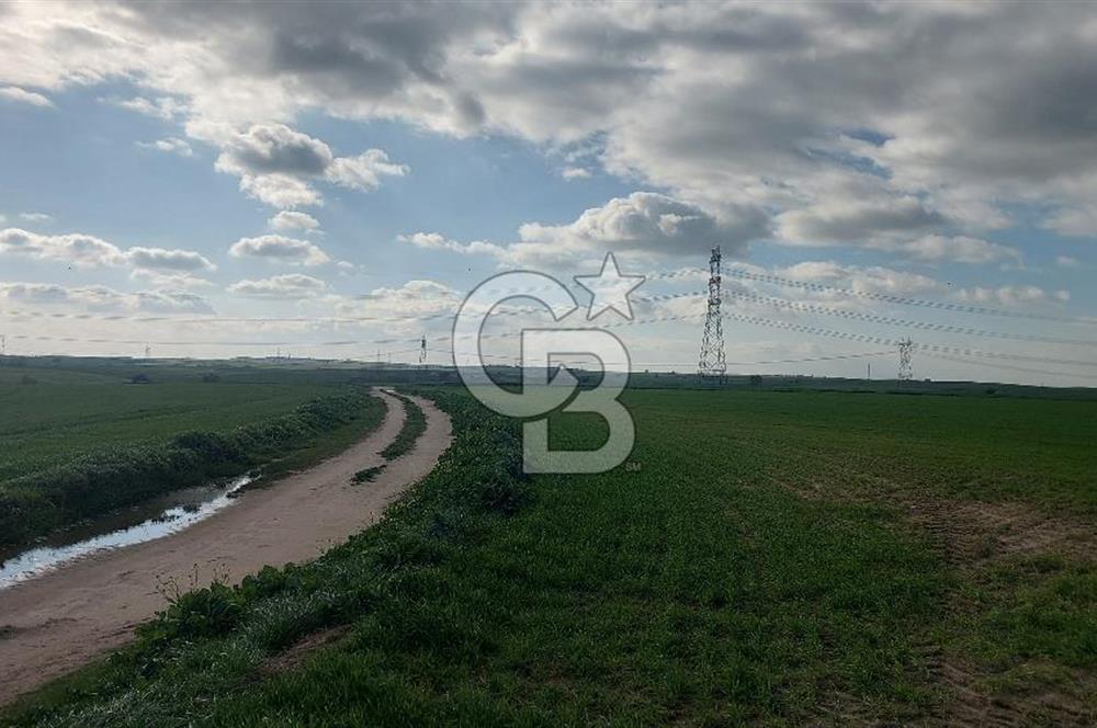 Tekirdağ Çorlu Şahpa'da 22.300 M2 467 M Resmi Yola Cepheli Satılık Tarla