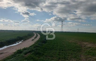 Tekirdağ Çorlu Şahpa'da 22.300 M2 467 M Resmi Yola Cepheli Satılık Tarla