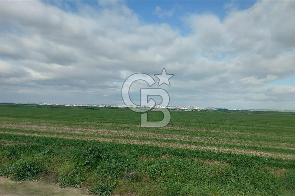 Tekirdağ Çorlu Şahpa'da 22.300 M2 467 M Resmi Yola Cepheli Satılık Tarla