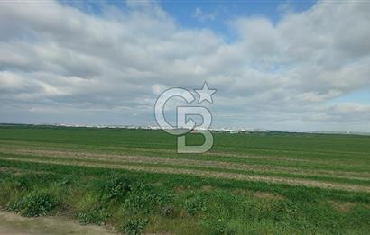 Tekirdağ Çorlu Şahpa'da 22.300 M2 467 M Resmi Yola Cepheli Satılık Tarla