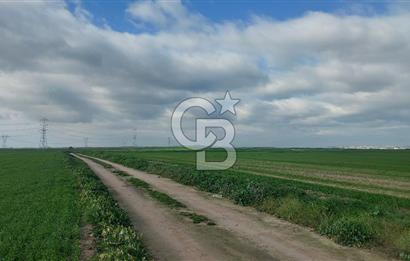 Tekirdağ Çorlu Şahpa'da 22.300 M2 467 M Resmi Yola Cepheli Satılık Tarla