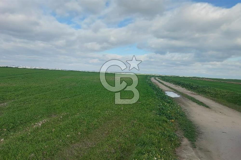 Tekirdağ Çorlu Şahpa'da 22.300 M2 467 M Resmi Yola Cepheli Satılık Tarla