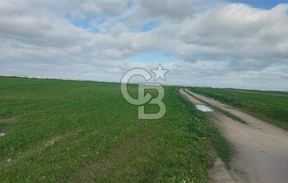Tekirdağ Çorlu Şahpa'da 22.300 M2 467 M Resmi Yola Cepheli Satılık Tarla