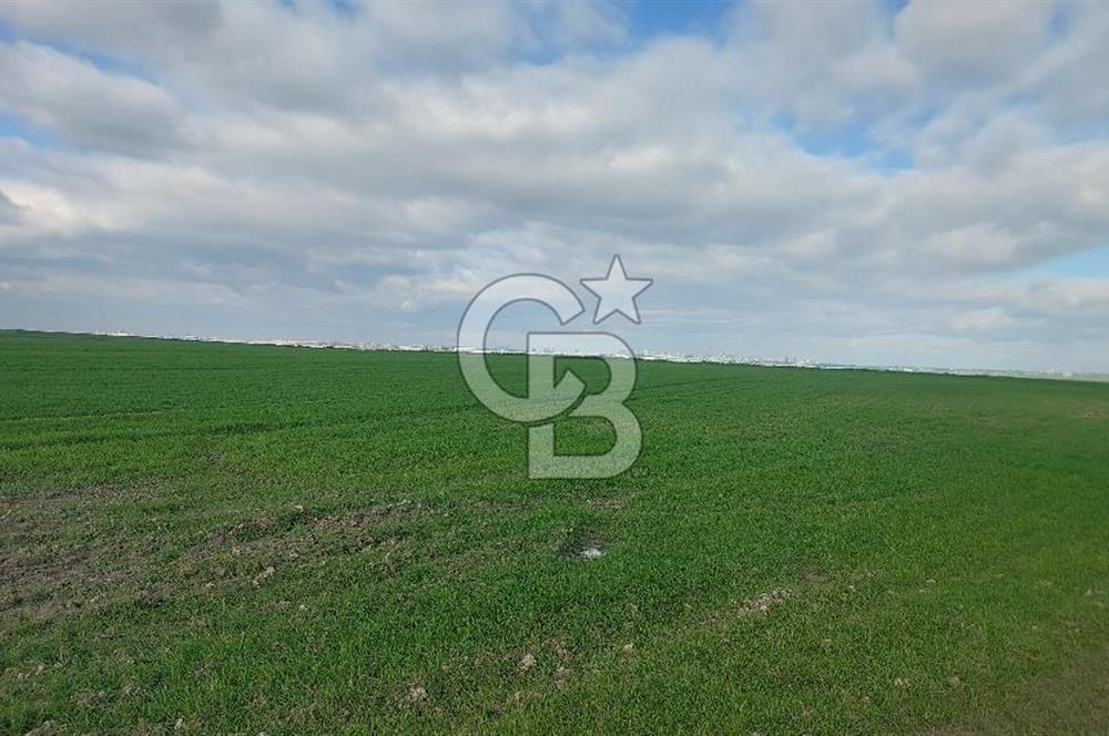 Tekirdağ Çorlu Şahpa'da 22.300 M2 467 M Resmi Yola Cepheli Satılık Tarla