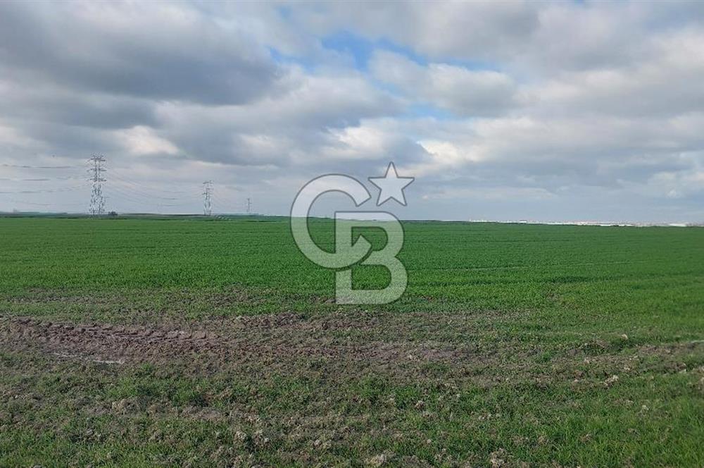 Tekirdağ Çorlu Şahpa'da 22.300 M2 467 M Resmi Yola Cepheli Satılık Tarla