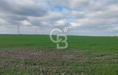 Tekirdağ Çorlu Şahpa'da 22.300 M2 467 M Resmi Yola Cepheli Satılık Tarla