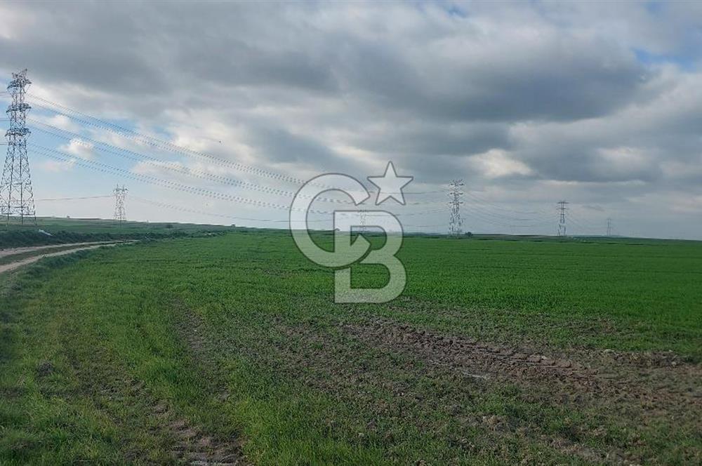 Tekirdağ Çorlu Şahpa'da 22.300 M2 467 M Resmi Yola Cepheli Satılık Tarla