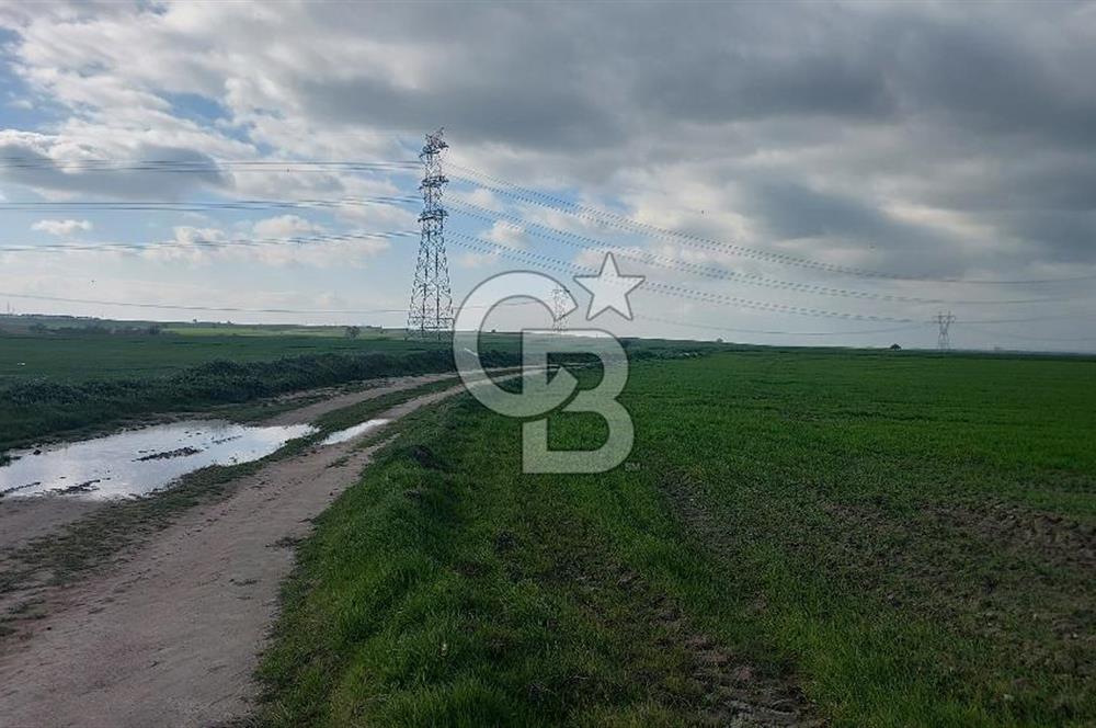 Tekirdağ Çorlu Şahpa'da 22.300 M2 467 M Resmi Yola Cepheli Satılık Tarla