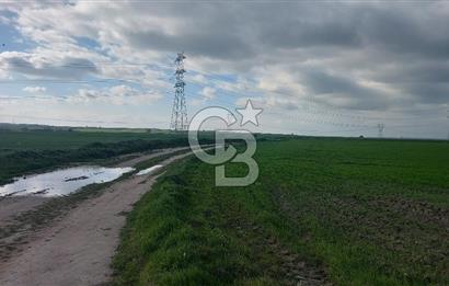 Tekirdağ Çorlu Şahpa'da 22.300 M2 467 M Resmi Yola Cepheli Satılık Tarla