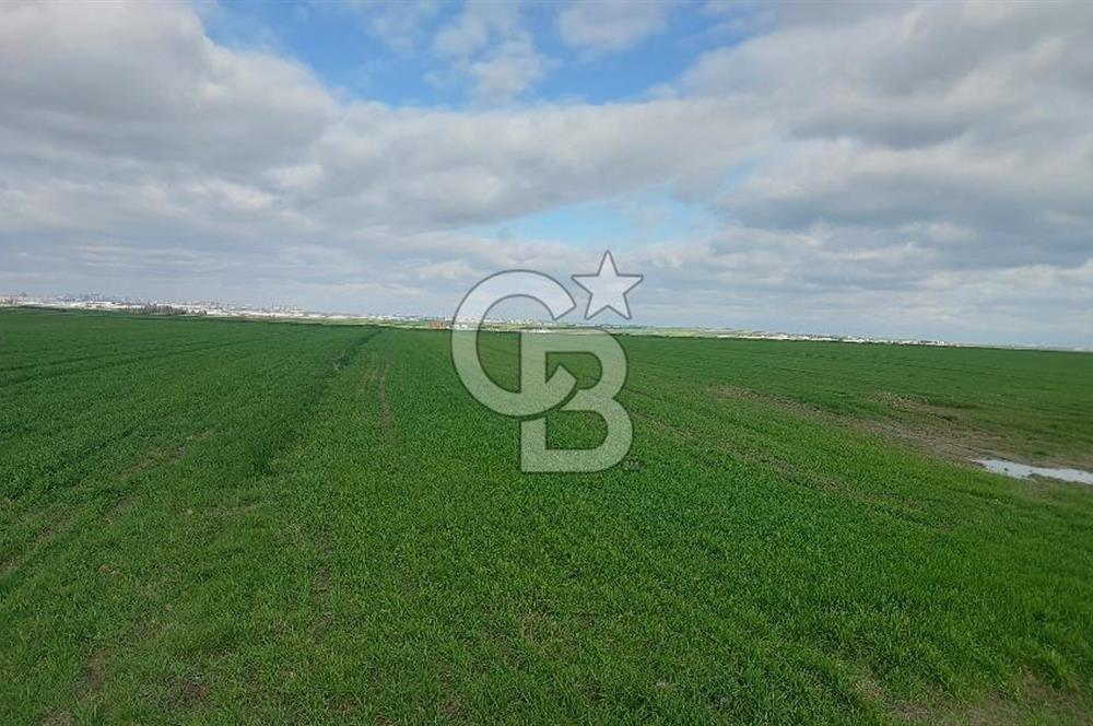 Tekirdağ Çorlu Şahpa'da 22.300 M2 467 M Resmi Yola Cepheli Satılık Tarla