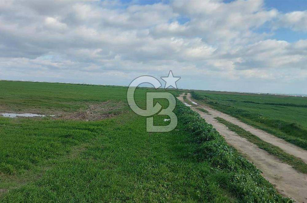 Tekirdağ Çorlu Şahpa'da 22.300 M2 467 M Resmi Yola Cepheli Satılık Tarla