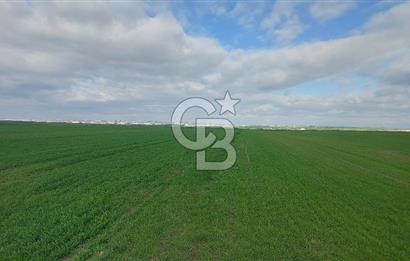 Tekirdağ Çorlu Şahpa'da 22.300 M2 467 M Resmi Yola Cepheli Satılık Tarla