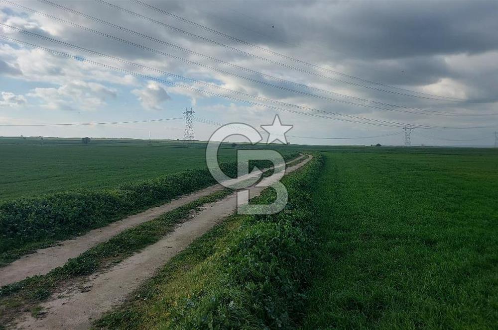 Tekirdağ Çorlu Şahpa'da 22.300 M2 467 M Resmi Yola Cepheli Satılık Tarla
