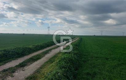 Tekirdağ Çorlu Şahpa'da 22.300 M2 467 M Resmi Yola Cepheli Satılık Tarla