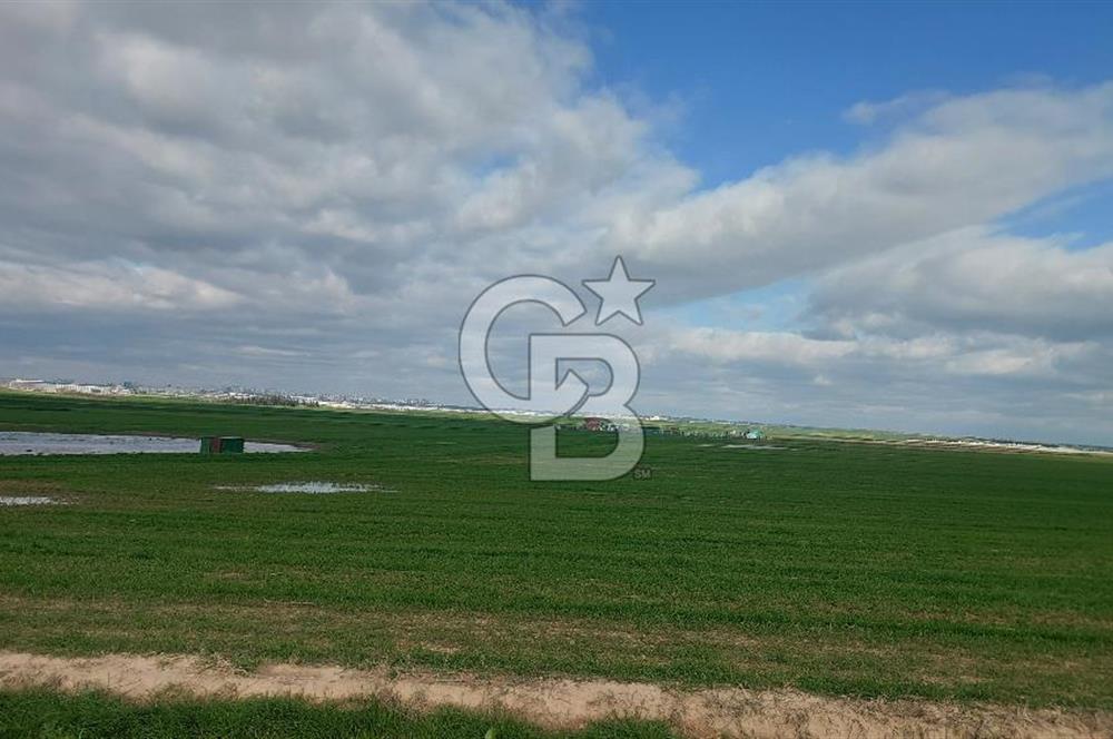 Tekirdağ Çorlu Şahpa'da 22.300 M2 467 M Resmi Yola Cepheli Satılık Tarla