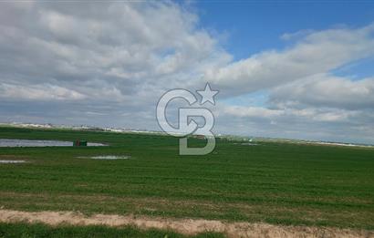 Tekirdağ Çorlu Şahpa'da 22.300 M2 467 M Resmi Yola Cepheli Satılık Tarla