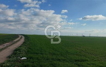 Tekirdağ Çorlu Şahpa'da 22.300 M2 467 M Resmi Yola Cepheli Satılık Tarla